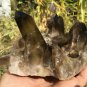 1061g Natural smoky citrine quartz cluster crystal specimen healing JQ19