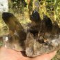 1061g Natural smoky citrine quartz cluster crystal specimen healing JQ19