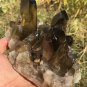 1061g Natural smoky citrine quartz cluster crystal specimen healing JQ19
