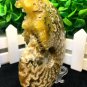 Natural Ammonite Nautilus Shell Jurrassic Fossil Specimen Madagascar 254g HLS11