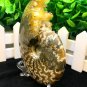 Natural Ammonite Nautilus Shell Jurrassic Fossil Specimen Madagascar 254g HLS11