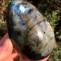 313g Natural Labradorite Egg Crystal Rough Polished From Madagascar LCSD7