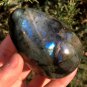313g Natural Labradorite Egg Crystal Rough Polished From Madagascar LCSD7