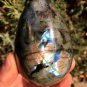 313g Natural Labradorite Egg Crystal Rough Polished From Madagascar LCSD7