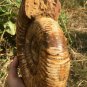 polished Ammonite Nautilus Shell Jurrassic Fossil Specimen Madagascar 2895g DZ66