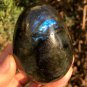 254g Natural Labradorite Egg Crystal Rough Polished From Madagascar LCSD3