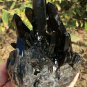 696g Natural smoky black quartz cluster crystal specimen healing #JQ60