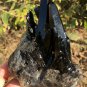 696g Natural smoky black quartz cluster crystal specimen healing #JQ60