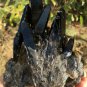 696g Natural smoky black quartz cluster crystal specimen healing #JQ60