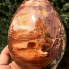 1575g Natural COLORFUL RAINBOW FANTASTIC Madagascar Petrified Wood Egg  - #ZH23