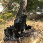 1551g Natural beautiful smoky black quartz cluster crystal specimen healing JQ44