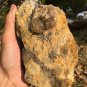 1551g Natural beautiful smoky black quartz cluster crystal specimen healing JQ44