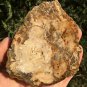 212g COLORFUL RAINBOW FANTASTIC Madagascar Petrified Wood Round Slab Bark #MHS12