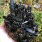 2758g Natural smoky black quartz cluster crystal specimen healing #JQ69