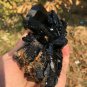 560g Natural beautiful smoky black quartz cluster crystal specimen healing JQ39