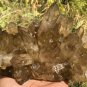 1359g Natural Himalayas white quartz cluster crystal specimen healing #JC20