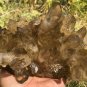 1359g Natural Himalayas white quartz cluster crystal specimen healing #JC20