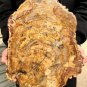 5989g COLORFUL RAINBOW FANTASTIC Madagascar Petrified Wood Round Slab Bark #DMH2