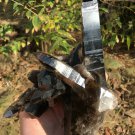 1496g Natural smoky black  quartz cluster crystal specimen healing #JQ59