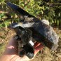 1496g Natural smoky black  quartz cluster crystal specimen healing #JQ59