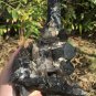 1496g Natural smoky black  quartz cluster crystal specimen healing #JQ59