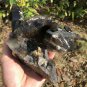1496g Natural smoky black  quartz cluster crystal specimen healing #JQ59