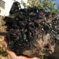 1998g Natural beautiful smoky black quartz cluster crystal specimen healing JQ58