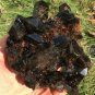 876g Natural beautiful smoky black quartz cluster crystal specimen healing JQ56