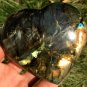 331g Natural Labradorite Love heart Crystal Rough Polished From Madagascar LC28