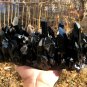 3050g Natural smoky black quartz cluster crystal specimen healing 270x130x110mm