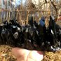3050g Natural smoky black quartz cluster crystal specimen healing 270x130x110mm