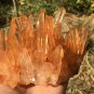1185g Natural Himalayas white quartz cluster crystal specimen healing #JC36