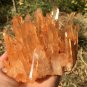 1185g Natural Himalayas white quartz cluster crystal specimen healing #JC36