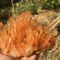 1185g Natural Himalayas white quartz cluster crystal specimen healing #JC36