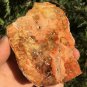 156g COLORFUL RAINBOW FANTASTIC Madagascar Petrified Wood Round Slab Bark #MHS2