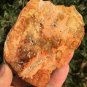 156g COLORFUL RAINBOW FANTASTIC Madagascar Petrified Wood Round Slab Bark #MHS2
