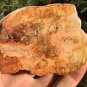 156g COLORFUL RAINBOW FANTASTIC Madagascar Petrified Wood Round Slab Bark #MHS2
