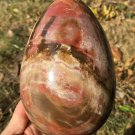 1764g Natural COLORFUL RAINBOW FANTASTIC Madagascar Petrified Wood Egg - #ZH78
