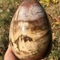 1764g Natural COLORFUL RAINBOW FANTASTIC Madagascar Petrified Wood Egg - #ZH78