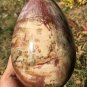 1764g Natural COLORFUL RAINBOW FANTASTIC Madagascar Petrified Wood Egg - #ZH78