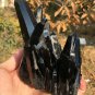 609g Natural beautiful smoky black quartz cluster crystal specimen healing JQ38