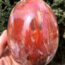 1550g Natural COLORFUL RAINBOW FANTASTIC Madagascar Petrified Wood Egg  - #ZH24