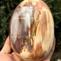 1550g Natural COLORFUL RAINBOW FANTASTIC Madagascar Petrified Wood Egg - #ZH24