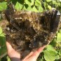 1757g Natural smoky citrine quartz cluster crystal specimen healing JC65