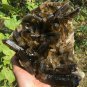 1757g Natural smoky citrine quartz cluster crystal specimen healing JC65