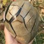 2048g Natural dragon septarian geode quartz Heart cluster crystal healing #ZH22