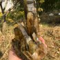 1902g Natural smoky citrine quartz cluster crystal specimen healing JC43