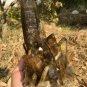 1902g Natural smoky citrine quartz cluster crystal specimen healing JC43
