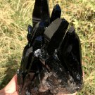 955g Natural smoky black  quartz cluster crystal specimen healing JC8
