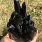 955g Natural smoky black quartz cluster crystal specimen healing JC8